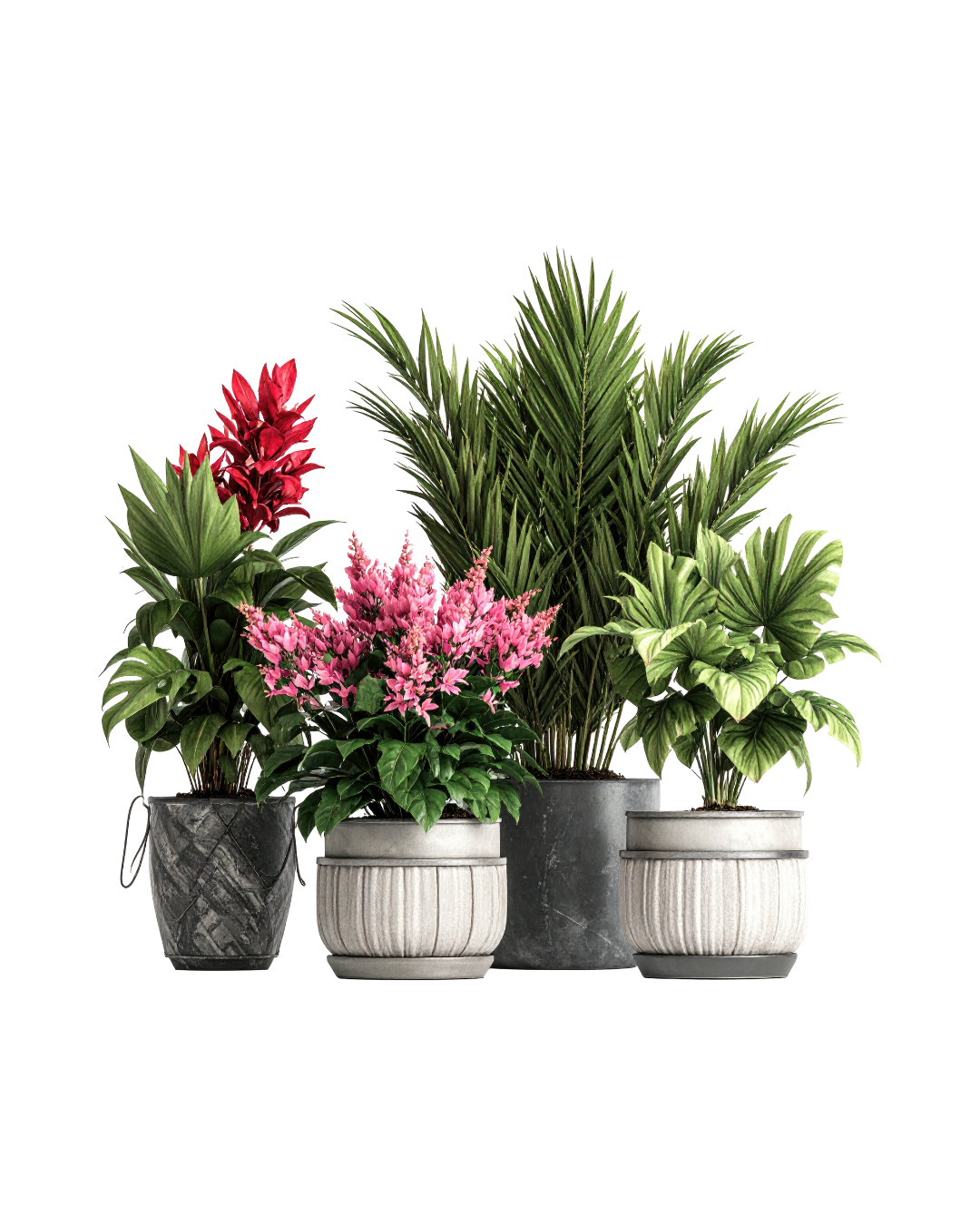 Luxury Indoor Plant Arrangement